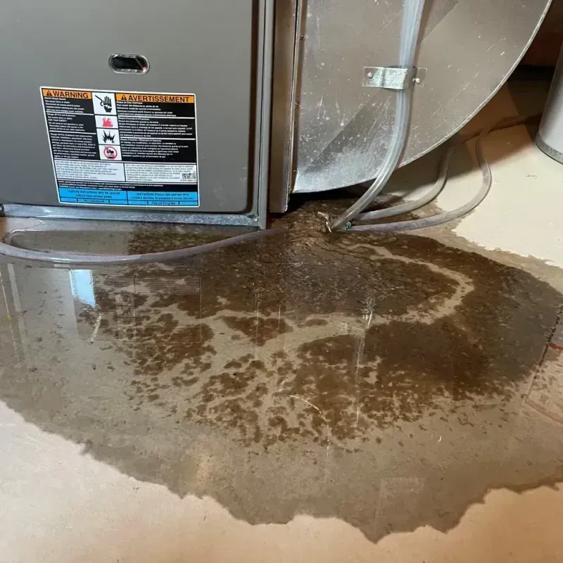 Appliance Leak Cleanup in Andover, MA